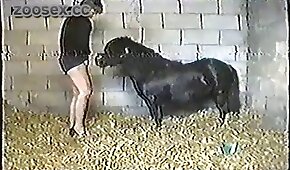 Sexo inesquecivel foi oque essa branquiha fez dentro do banheiro depois do banho com seu namorado em quanto fodia - pónei,sexo de cachorro