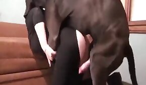 Sexo inesquecivel foi oque essa branquiha fez dentro do banheiro depois do banho com seu namorado em quanto fodia - sexo de cachorro,sexo foda animal